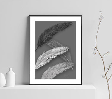 Floating Feathers Frame Mockup